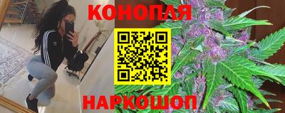 PSILOCYBIN Северобайкальск